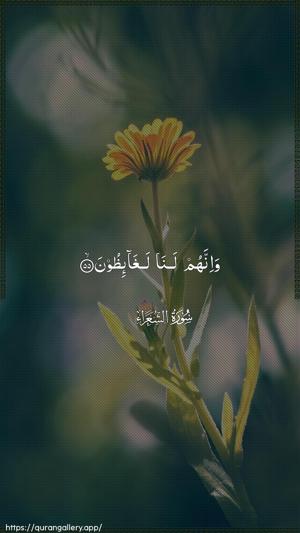 Ash-Shu"araa Ayah 55 - Arabic wallpaper