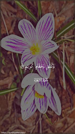 Ash-Shu"araa Ayah 58 - Arabic wallpaper