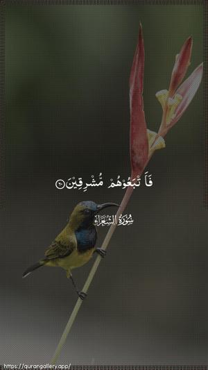 Ash-Shu"araa Ayah 60 - Arabic wallpaper