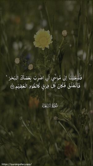 Ash-Shu"araa Ayah 63 - Arabic wallpaper