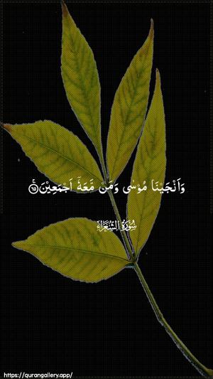 Ash-Shu"araa Ayah 65 - Arabic wallpaper