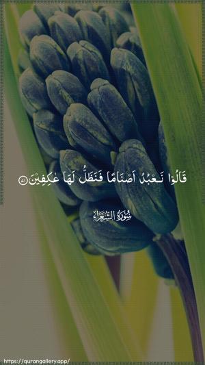 Ash-Shu"araa Ayah 71 - Arabic wallpaper