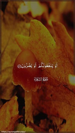 Ash-Shu"araa Ayah 73 - Arabic wallpaper