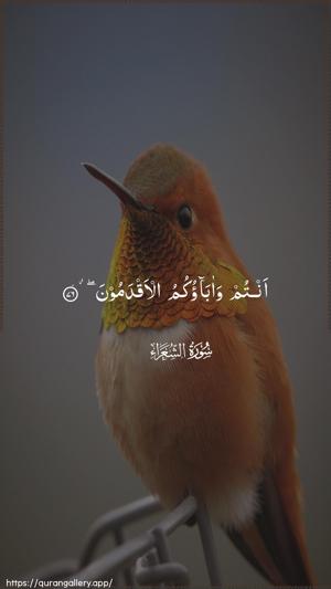 Ash-Shu"araa Ayah 76 - Arabic wallpaper