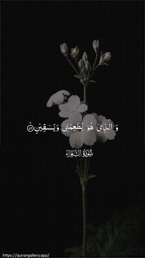 Ash-Shu"araa Ayah 79 - Arabic wallpaper