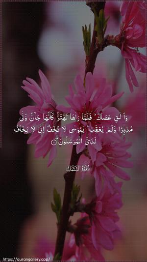 An-Naml Ayah 10 - Arabic wallpaper