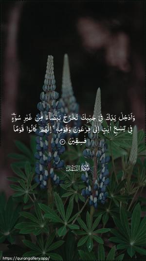 An-Naml Ayah 12 - Arabic wallpaper