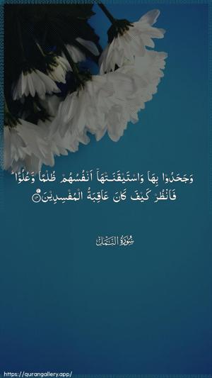 An-Naml Ayah 14 - Arabic wallpaper