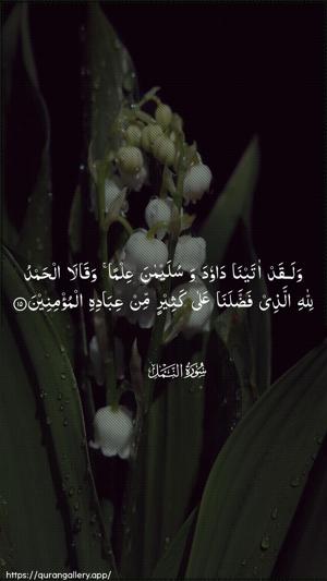 An-Naml Ayah 15 - Arabic wallpaper