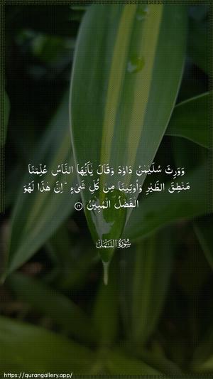 An-Naml Ayah 16 - Arabic wallpaper
