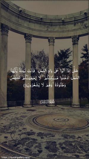 An-Naml Ayah 18 - Arabic wallpaper