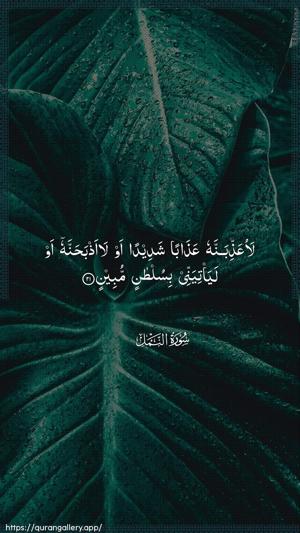 An-Naml Ayah 21 - Arabic wallpaper