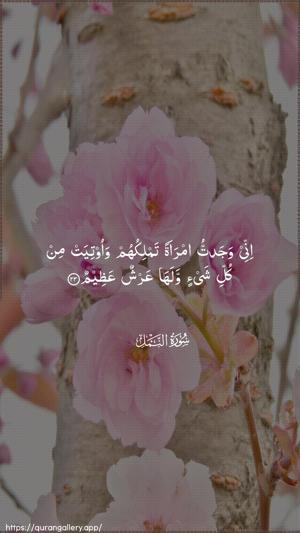 An-Naml Ayah 23 - Arabic wallpaper