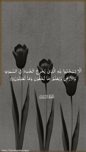 An-Naml Ayah 25 - Arabic wallpaper