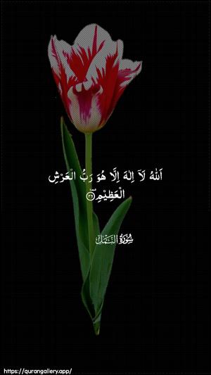 An-Naml Ayah 26 - Arabic wallpaper