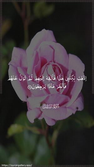 An-Naml Ayah 28 - Arabic wallpaper