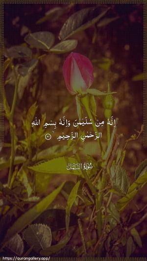 An-Naml Ayah 30 - Arabic wallpaper