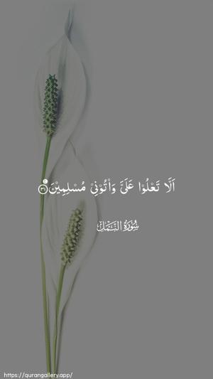 An-Naml Ayah 31 - Arabic wallpaper