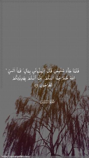 An-Naml Ayah 36 - Arabic wallpaper
