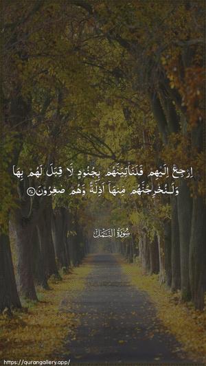 An-Naml Ayah 37 - Arabic wallpaper