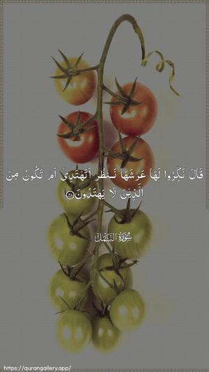 An-Naml Ayah 41 - Arabic wallpaper