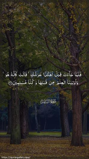 An-Naml Ayah 42 - Arabic wallpaper