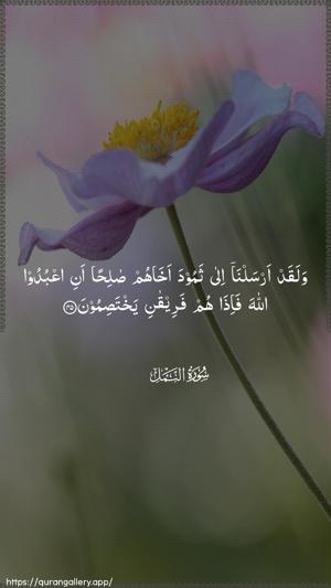 An-Naml Ayah 45 - Arabic wallpaper