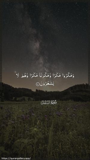 An-Naml Ayah 50 - Arabic wallpaper