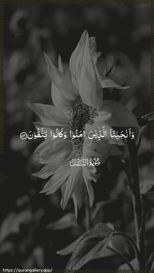 An-Naml Ayah 53 - Arabic wallpaper