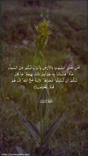 An-Naml Ayah 60 - Arabic wallpaper