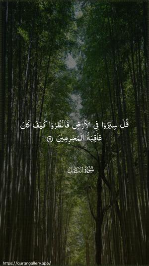 An-Naml Ayah 69 - Arabic wallpaper
