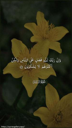 An-Naml Ayah 73 - Arabic wallpaper