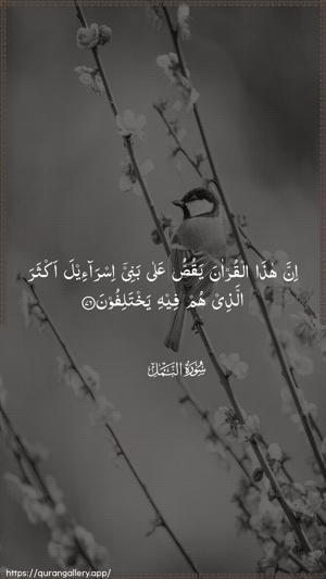 An-Naml Ayah 76 - Arabic wallpaper