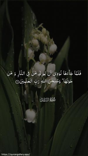An-Naml Ayah 8 - Arabic wallpaper