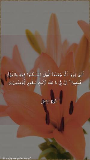 An-Naml Ayah 86 - Arabic wallpaper