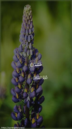 Al-Qasas Ayah 1 - Arabic wallpaper