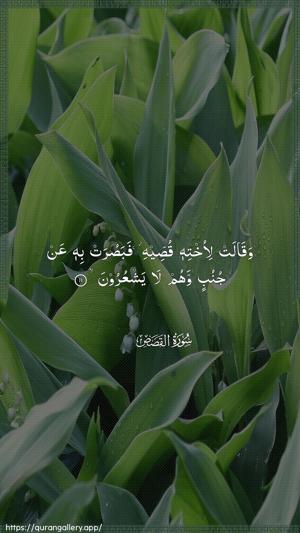 Al-Qasas Ayah 11 - Arabic wallpaper