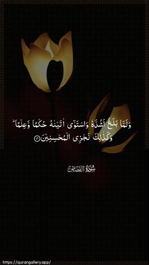 Al-Qasas Ayah 14 - Arabic wallpaper