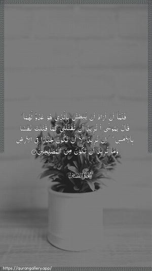 Al-Qasas Ayah 19 - Arabic wallpaper