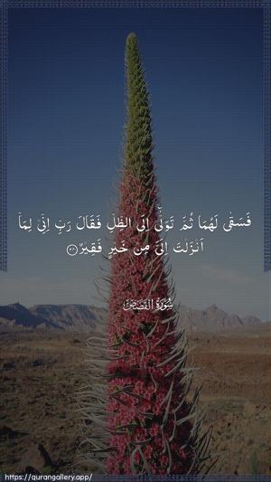 Al-Qasas Ayah 24 - Arabic wallpaper