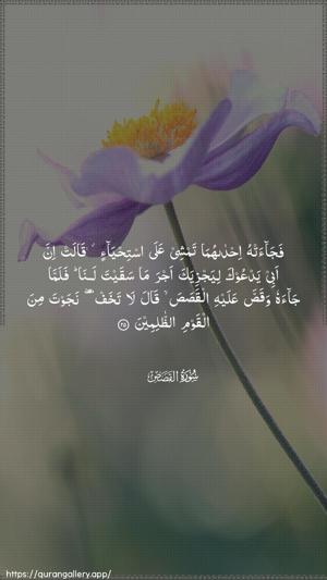 Al-Qasas Ayah 25 - Arabic wallpaper