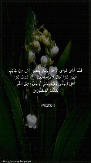 Al-Qasas Ayah 29 - Arabic wallpaper