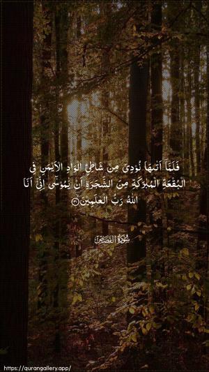 Al-Qasas Ayah 30 - Arabic wallpaper