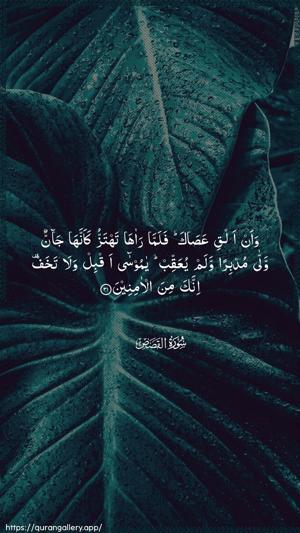 Al-Qasas Ayah 31 - Arabic wallpaper