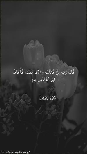 Al-Qasas Ayah 33 - Arabic wallpaper