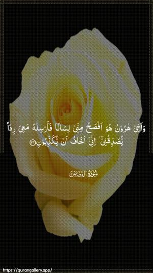 Al-Qasas Ayah 34 - Arabic wallpaper