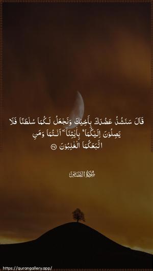 Al-Qasas Ayah 35 - Arabic wallpaper