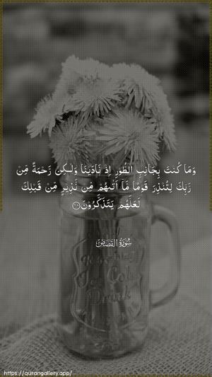 Al-Qasas Ayah 46 - Arabic wallpaper