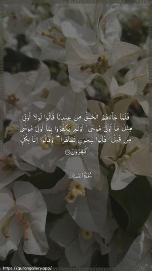 Al-Qasas Ayah 48 - Arabic wallpaper