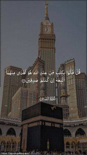 Al-Qasas Ayah 49 - Arabic wallpaper